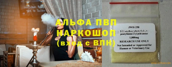 гашик Няндома