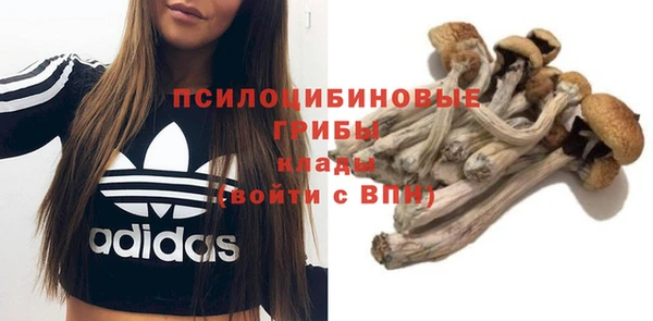 гашик Нягань