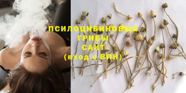 тгк Новозыбков