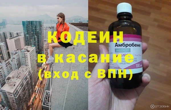 гашик Няндома