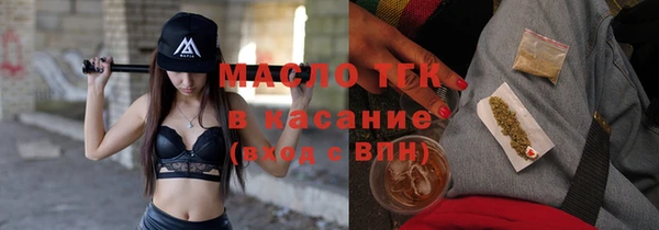 гашик Няндома