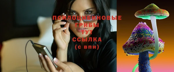 тгк Новозыбков