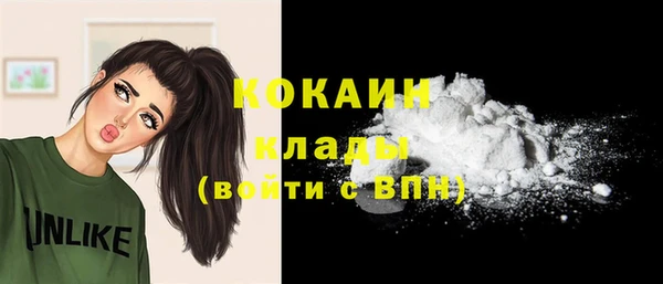 тгк Новозыбков
