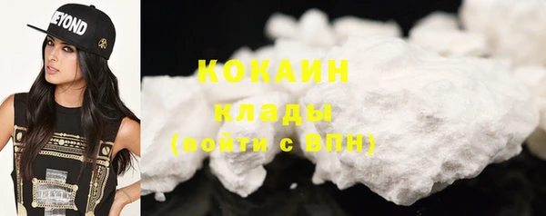 гашик Няндома