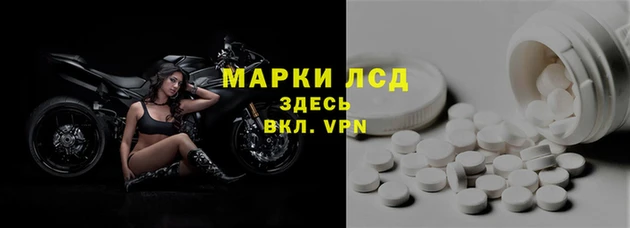 Альфа ПВП Новодвинск