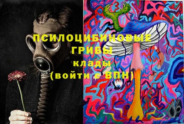 тгк Новозыбков