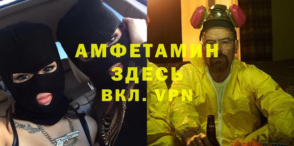 гашик Няндома