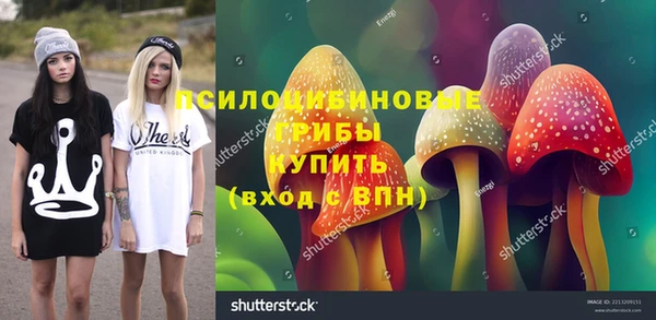 гашик Нягань