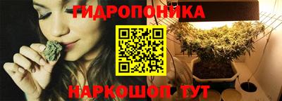 спайс Будённовск