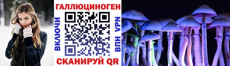 даркнет официальный сайт  как найти закладки  Знаменск  Галлюциногенные грибы Cubensis 