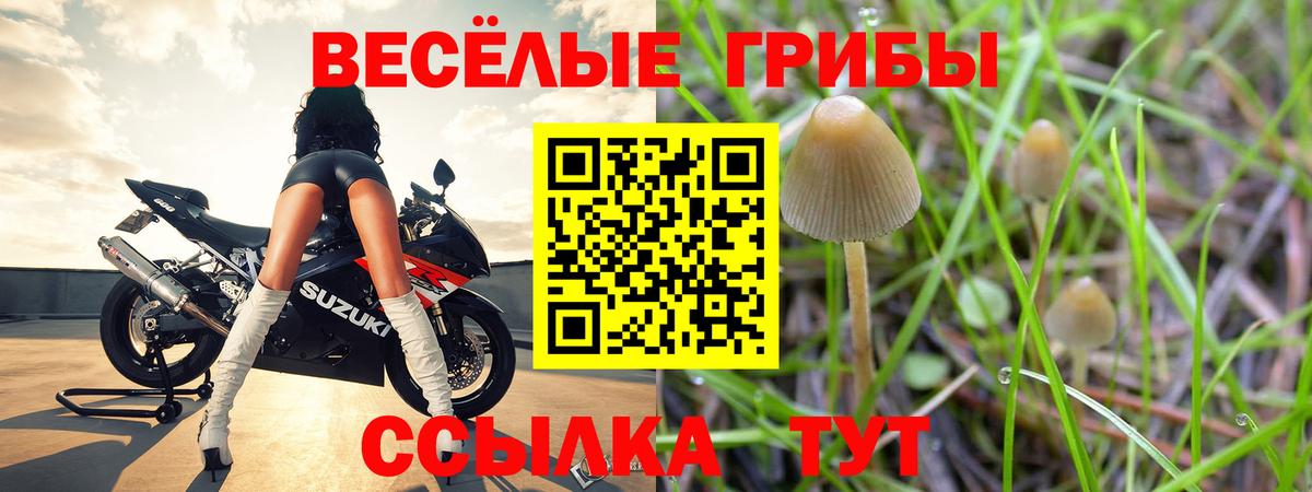 Знаменск  ГАШИШ  A PVP СК кристаллы  НБОМе  Экстази  Вход с VPN  COCAIN  Меф кристаллы  МЕТАМФЕТАМИН  Конопля 