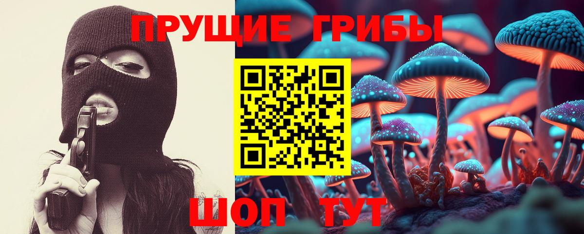 Галлюциногенные грибы Magic Shrooms  Вход с VPN  Знаменск 